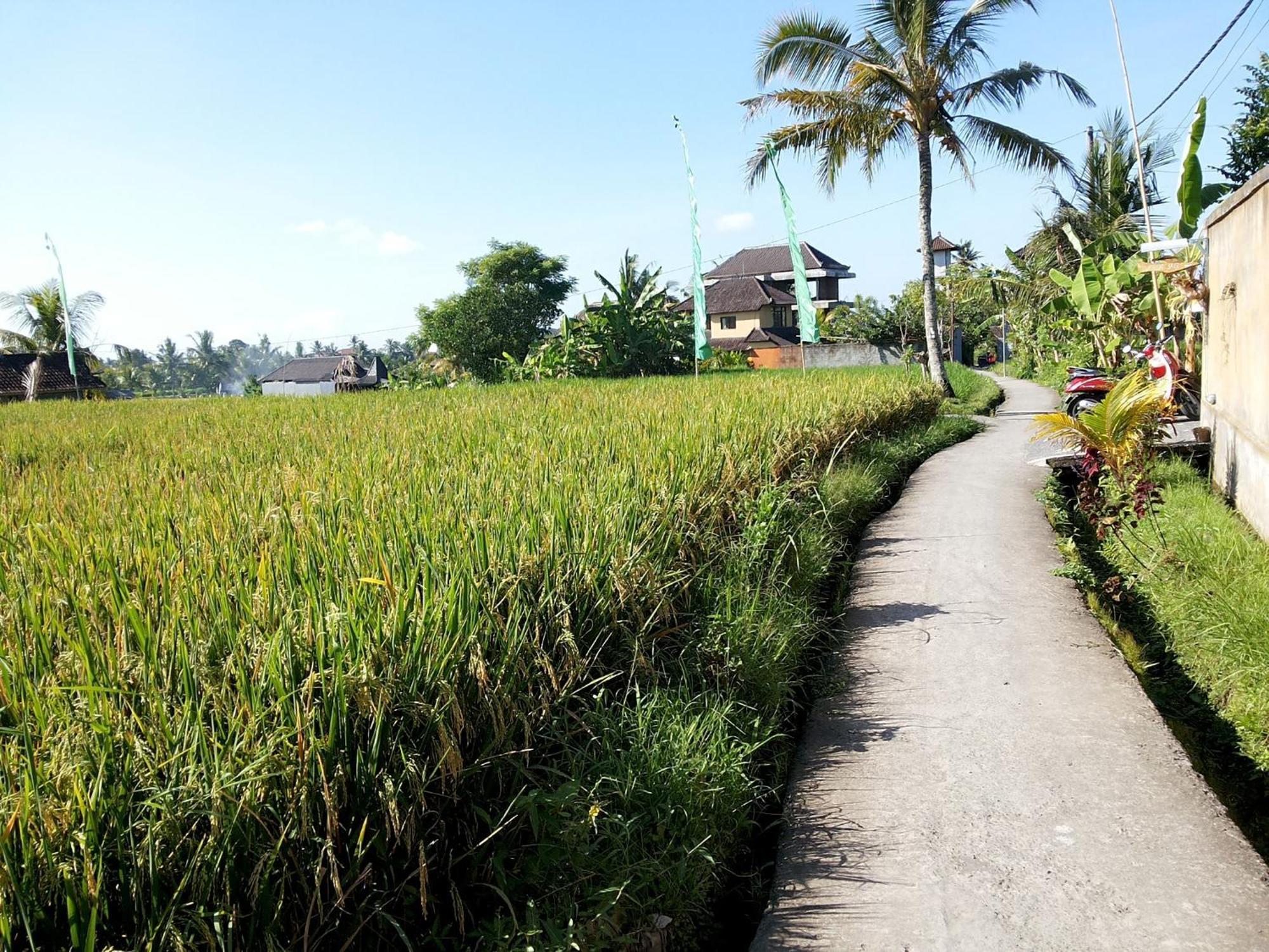 Jagi Villa อูบุด ภายนอก รูปภาพ